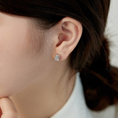 [Charm Aries Jewelry]Radiant Luxurious Princess Cut Daily Earrings