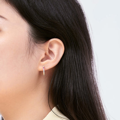 [Charm Aries Jewelry]Radiant Colorful Round Cut Earrings